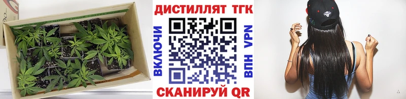 ТГК жижа  где найти наркотики  Суджа 